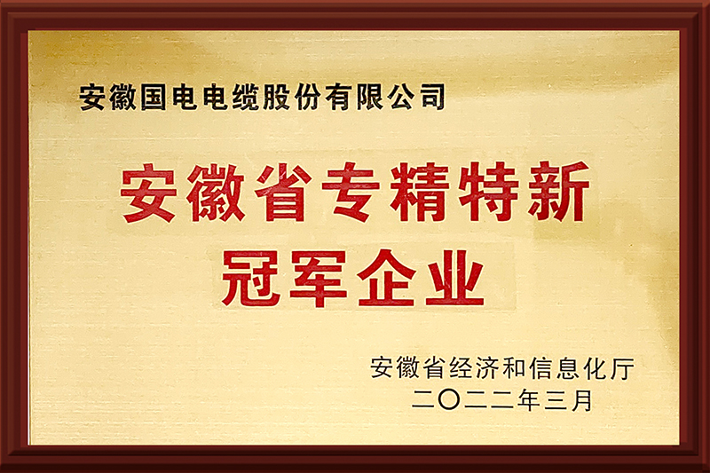 08安徽省专精特新冠军企业